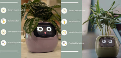 Maceta Inteligente con IA: 49 Expresiones y 7 Sensores para Plantas Felices - Image 68