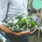 Jardín en Miniatura de Suculentas en Caja de Cristal - Ecosistema Eterno