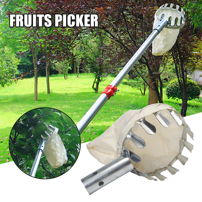 Recolector de Frutas Telescópico para Huertos de Altura - Image 10