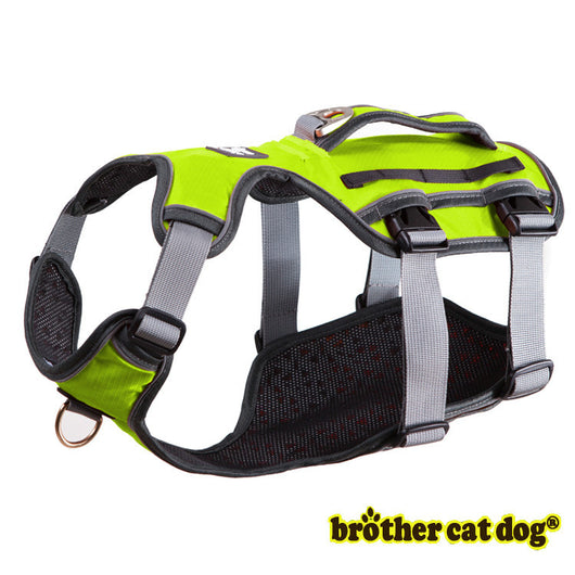 Banda de Soporte Toraco-Lumbar para Perros - Image 11