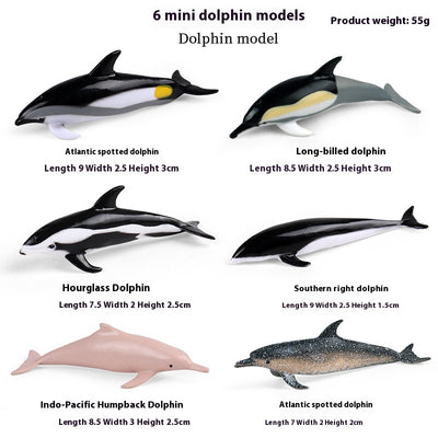 Juego Educativo de Animales Marinos Realistas para Niños - Image 26
