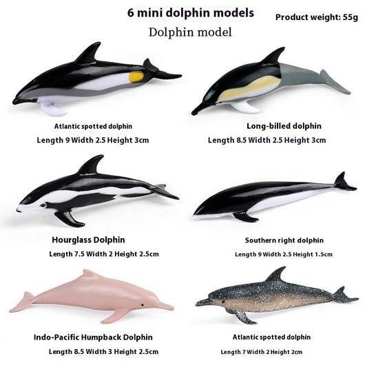 Juego Educativo de Animales Marinos Realistas para Niños - Image 26