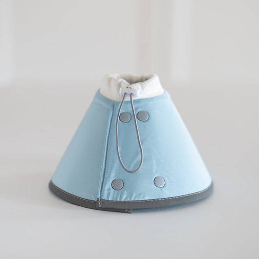Collar Fashionable Impermeable para Mascotas - Image 10