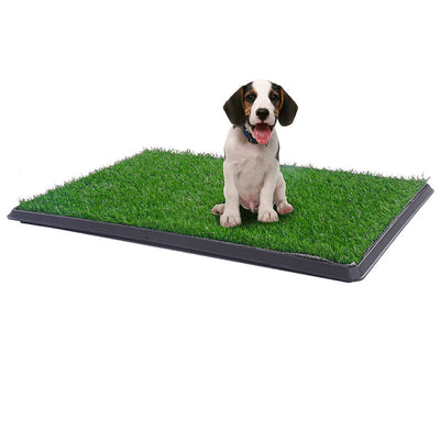 Inodoro Portátil para Mascotas con Césped Artificial
