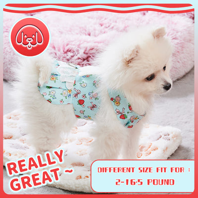 Vestido Arnés para Perro con Alas de Ángel y Correa - Outfit Fashion para Mascotas Pequeñas - Image 3