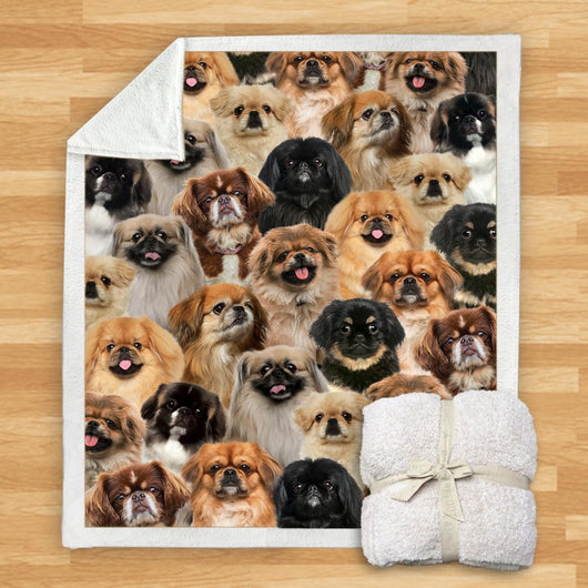 Manta de Franela Estampada para Perros de Diseño Moderno - Image 57