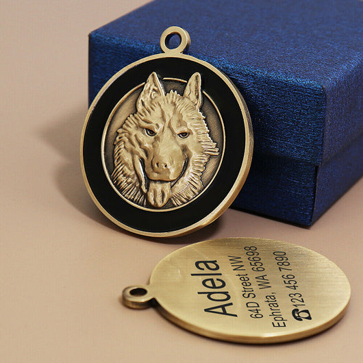 Placa de Identificación Antipérdida para Mascotas - Grabado Personalizado - Image 9