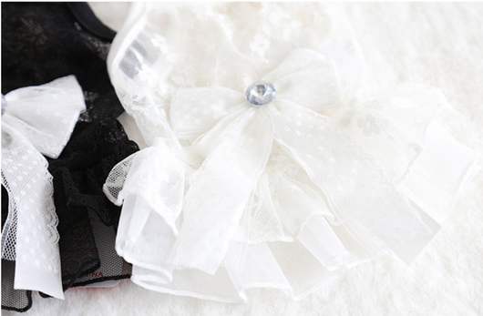 Vestido de Encaje para Mascotas Pequeñas - Falda de Boda Elegante - Image 8