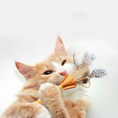 Palo de Madera Poligono con Pluma para Gatos - Juguete Mordedor Natural - Image 8