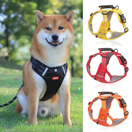 Orange no-pull dog harness with reflective strips, adjustable buckles, and a top handle for training and outdoor use. - Image 3