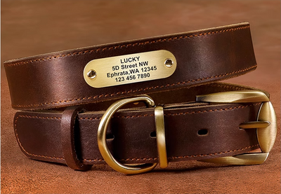 Collar de Cuero Genuino para Perro con Grabado Antiextravío - Image 6