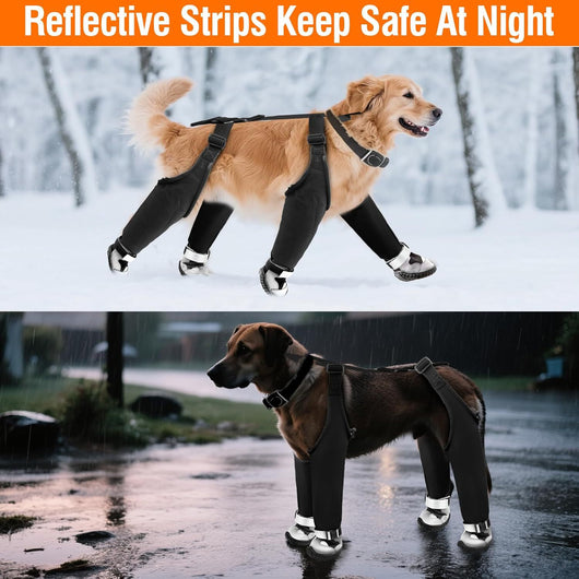 Botas Protectoras para Perros - Impermeables y Térmicas para Clima Frío - Image 9