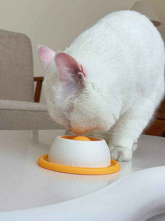Juguete Comedero Antiderrame para Gatos - Dispensador de Premios Resistente - Image 10