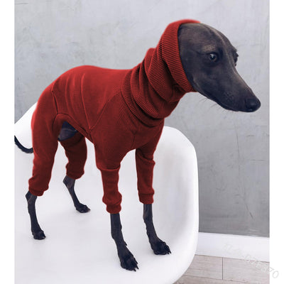 Mono Ligero para Perros Whippet y Galgos Italianos - Talla Mediana a Grande - Image 3