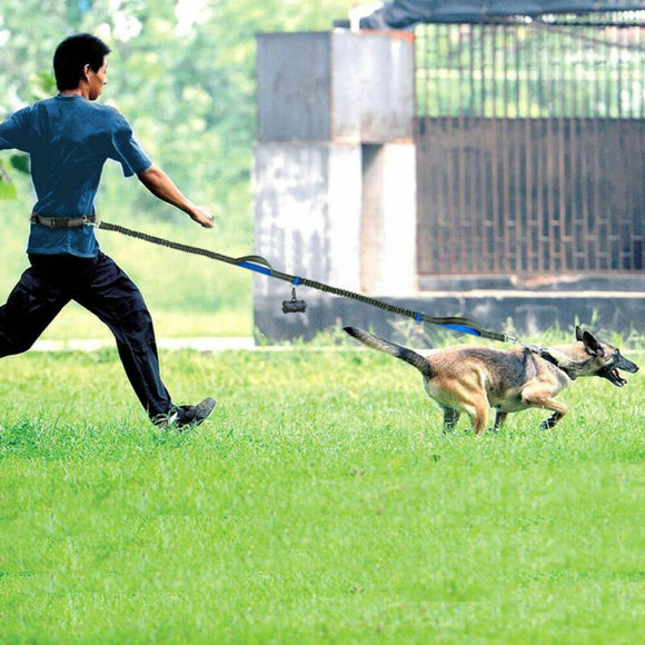 Correa Doble Elástica Reflectante para Perros - Sistema de Tracción Multifuncional