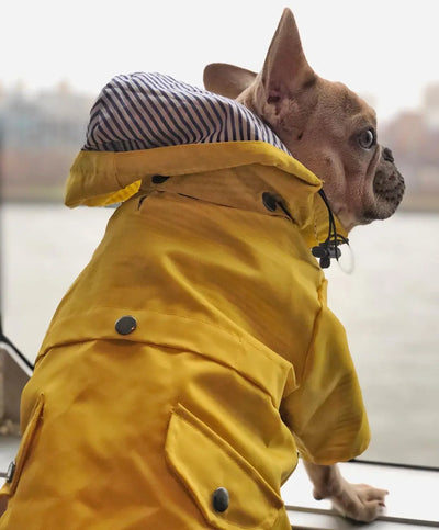 Impermeable para Perros - Abrigo Protector Contra Lluvia - Image 21