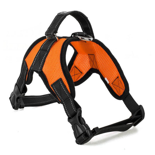 Arnés Pectoral Transpirable para Perro con Correa - Image 3