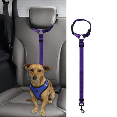 Correa de Seguridad para Mascotas en Auto - Image 16
