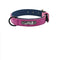 Morado 2XL