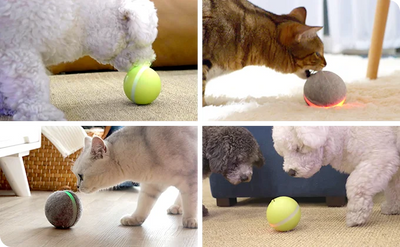 Pelota Saltarina Interactiva para Gatos - Image 19