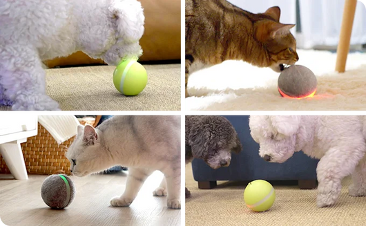 Pelota Saltarina Interactiva para Gatos - Image 19