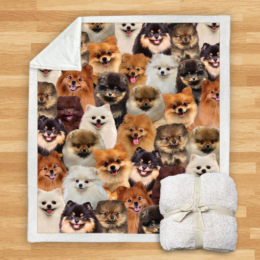 Manta de Franela Estampada para Perros de Diseño Moderno - Image 58