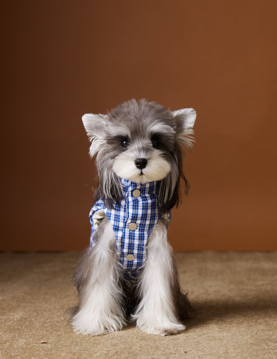Chaleco Acolchado de Invierno para Perros - Image 17