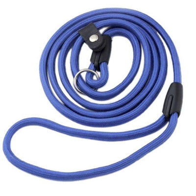 Correa de Nylon para Perro - Resistente y Segura - Image 3