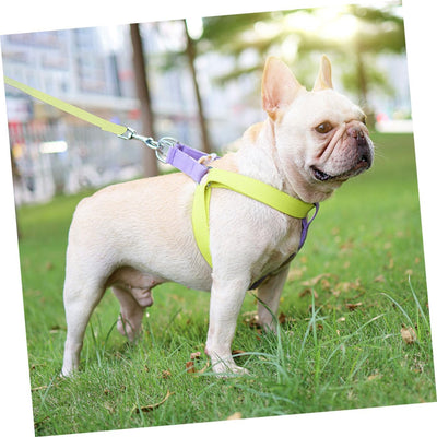 Yellow and purple no-pull dog harness with adjustable nylon straps, plastic buckles, and metal D-rings. - Image 14