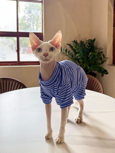 Ropa Transpirable para Gatos - Diseño Ligero y Fresco - Image 10