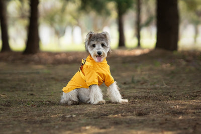 Impermeable para Perros Pequeños y Medianos con Arnés Integrado - Image 13