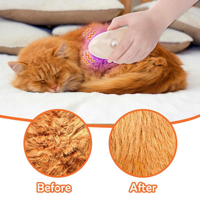 Cepillo de Vapor 4 en 1 para Gatos - Masajeador y Removedor de Pelo con Detector de Hongos - Image 9