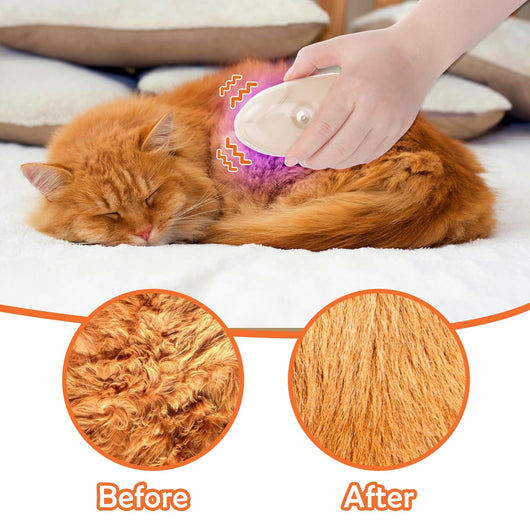 Cepillo de Vapor 4 en 1 para Gatos - Masajeador y Removedor de Pelo con Detector de Hongos - Image 9