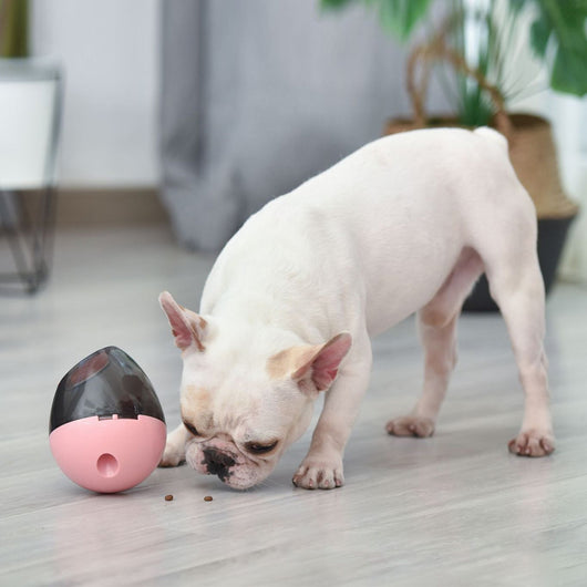 Orange and blue interactive pet food dispenser toy with multiple tiers and white balls, next to its black packaging. - Image 12