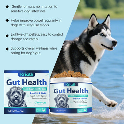 Gránulos Blandos para la Salud Intestinal Canina - Image 4