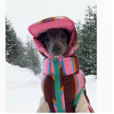 Chaleco Rayado para Mascotas Otoño e Invierno - Image 6