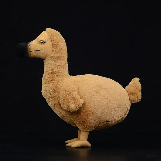 Peluche Educativo Dodo - Colección Biología Prehistórica - Image 8