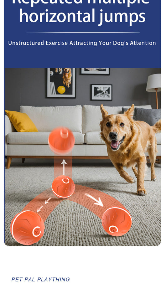 Pelota Inteligente de Rebote por Gravedad para Perros - Image 19