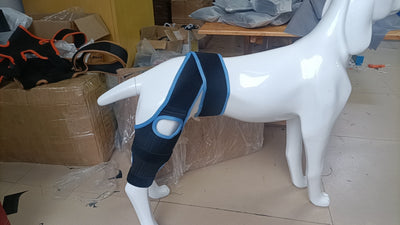 Refuerzo de Rodilla para Perros - Soporte para Patas Traseras - Image 23