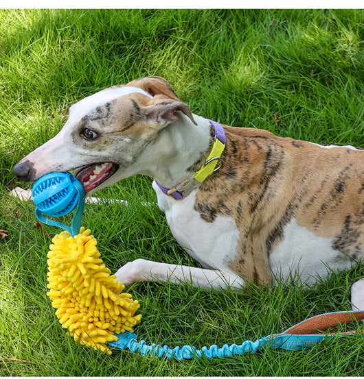 Juguete Interactivo de Cuerda Resistente para Perros - Tirador Masticable - Image 17