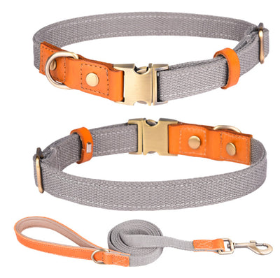 Collar de Cuero para Perro con Placa Antiextravío - Image 15