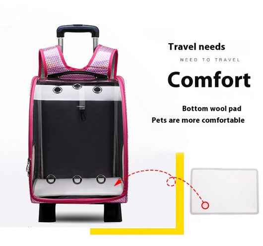 Mochila Transportadora Transparente Plegable para Perros Pequeños con Bolsillo Pañales - Image 20