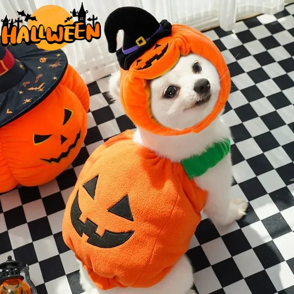 Disfraz de Calabaza para Perros y Gatos - Arnés Festivo para Mascotas Pequeñas
