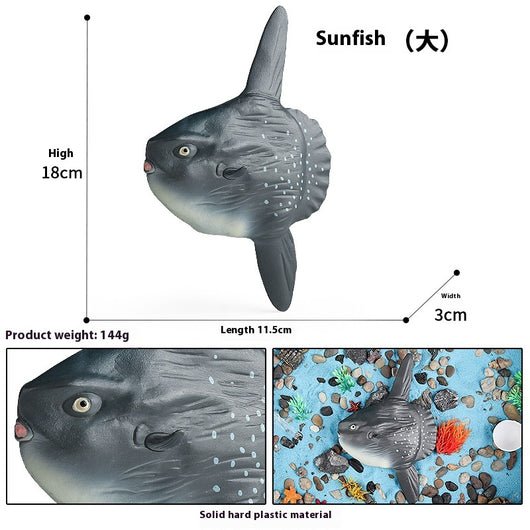 Juego Educativo de Animales Marinos Realistas para Niños - Image 73