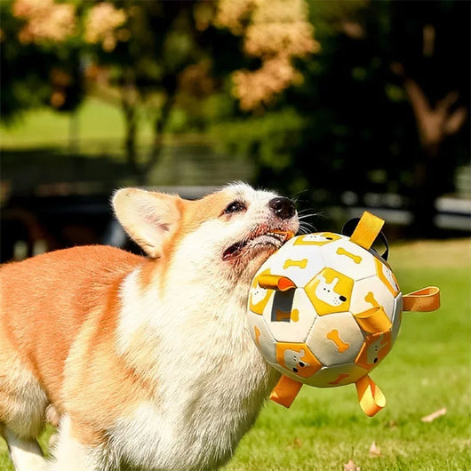 Orange and purple pet football toy with cartoon dinosaur-like characters and 'P' letters, featuring fabric loops and a strap. - Image 2