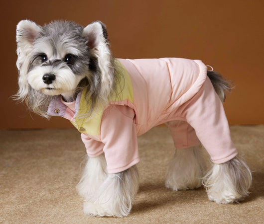 Chaleco Acolchado de Invierno para Perros Pequeños - Teddy, Schnauzer, Bichón - Image 30