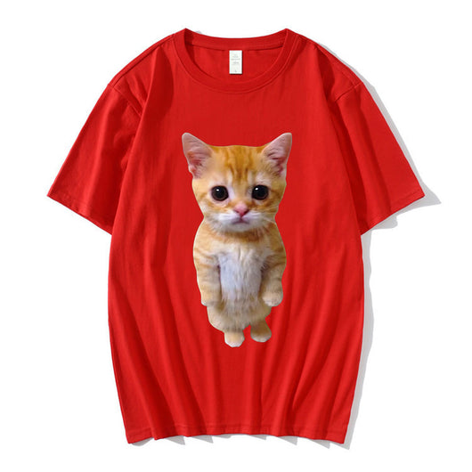 Gatito Triste Llorando - Peluche Munchkin Adorable - Image 8