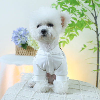 Mono de una Capa para Perros - Ropa Cómoda y Protectora - Image 4