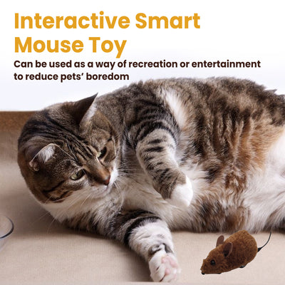 Brown interactive mouse toy for cats with a sound chip, shown in packaging with a kitten graphic and as a standalone toy. - Image 13