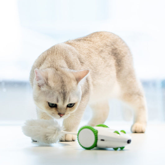 White and green robotic mouse cat toy with wheels and a feather tail, shown in motion on a white background. - Image 9